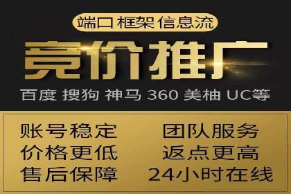高效百度推广案例解析及优化策略